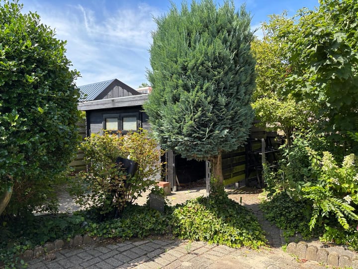 Foto 12 van Narcissenstraat 21