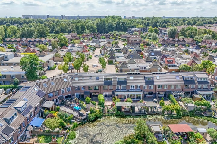 Photo 36 of Palet 25