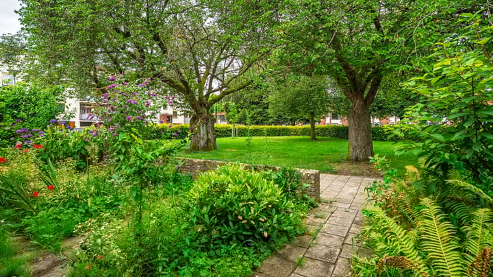 Foto 13 van Lieven de Keystraat 6