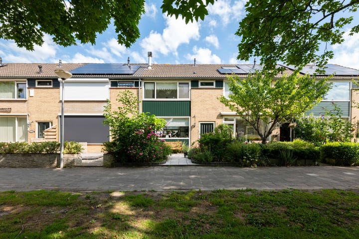 Foto 1 van Dibbetzplantsoen 6