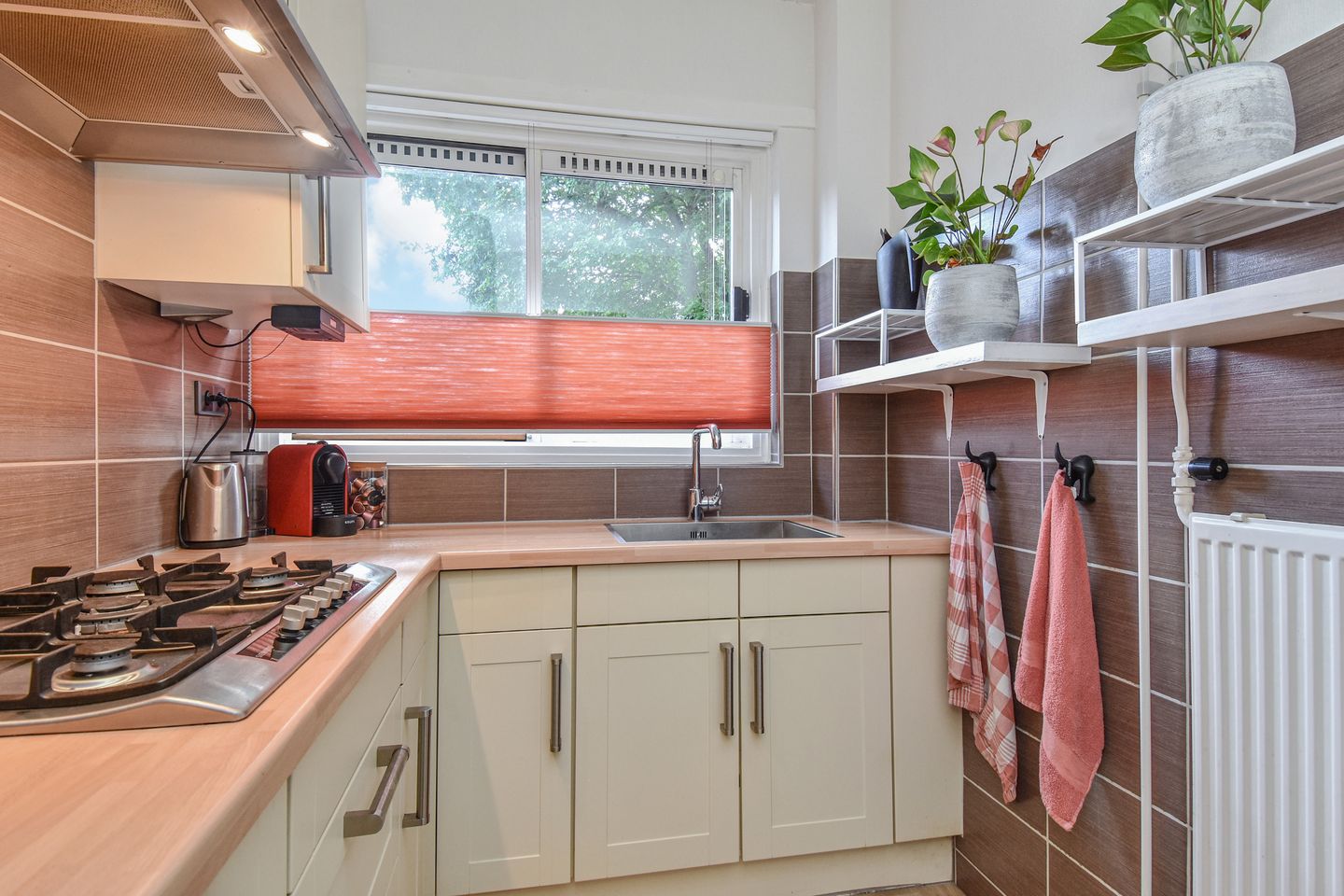 Foto 10 van Meppelweg 655