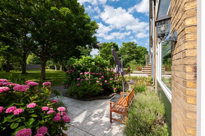 Foto 21 van Dibbetzplantsoen 6