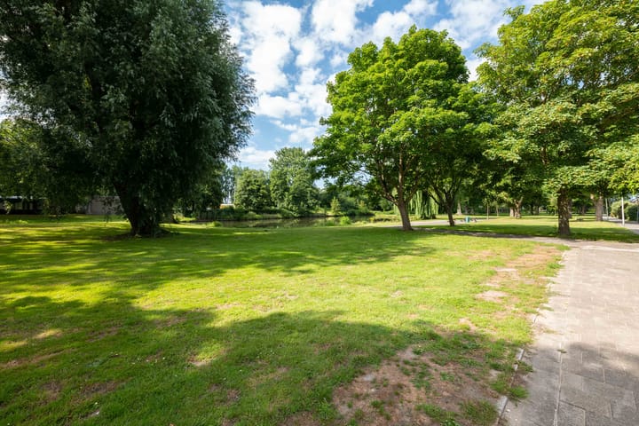Foto 39 van Dibbetzplantsoen 6