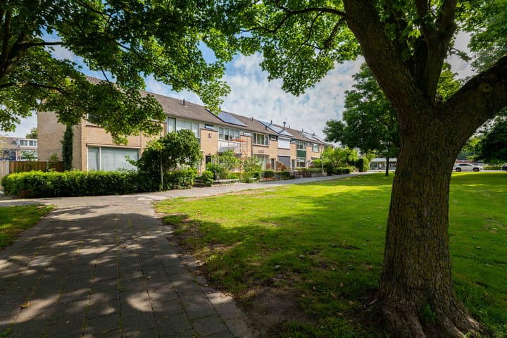 Foto 40 van Dibbetzplantsoen 6