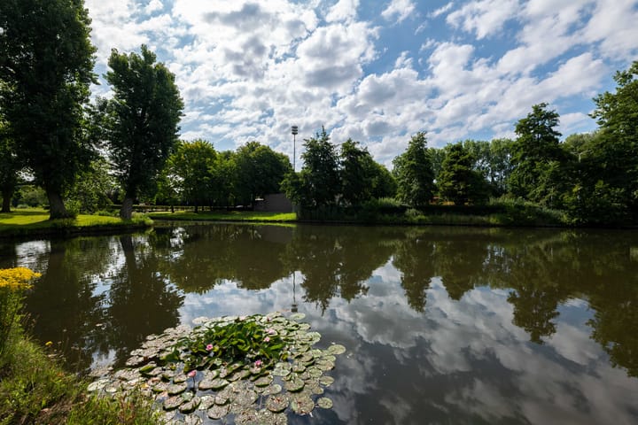 Foto 41 van Dibbetzplantsoen 6