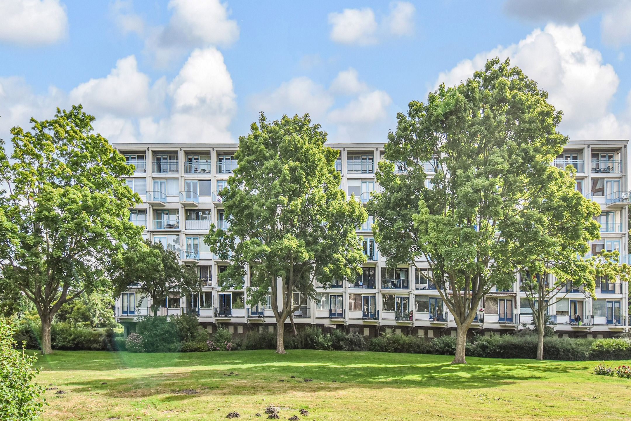 Foto 39 van Meppelweg 655