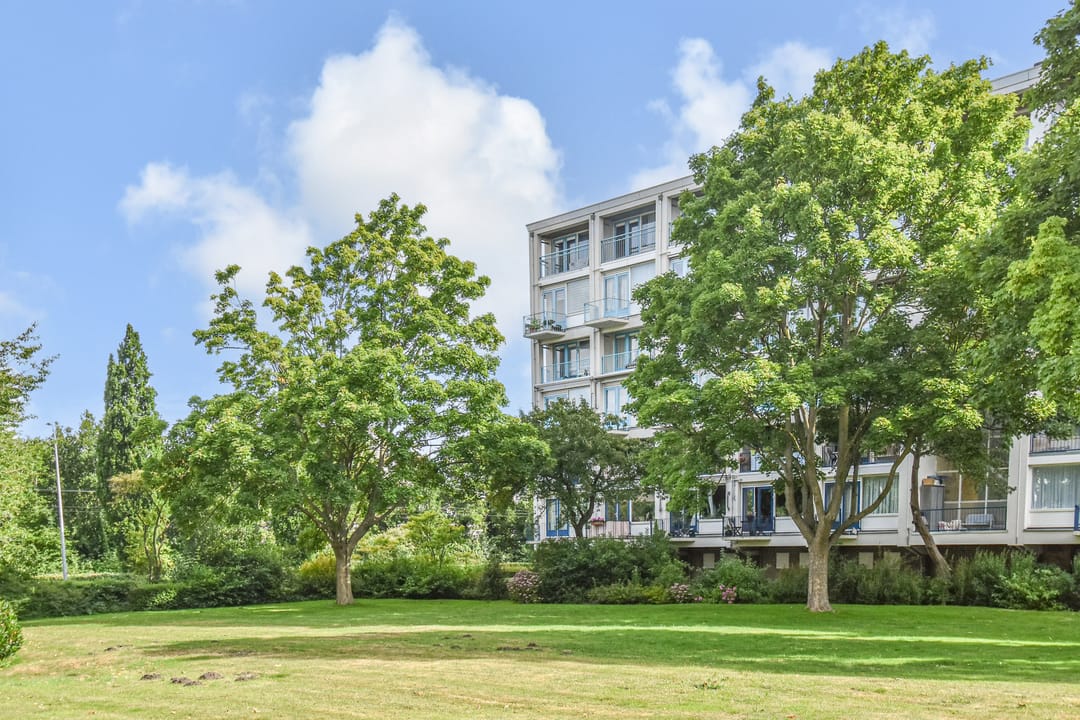 Foto 41 van Meppelweg 655