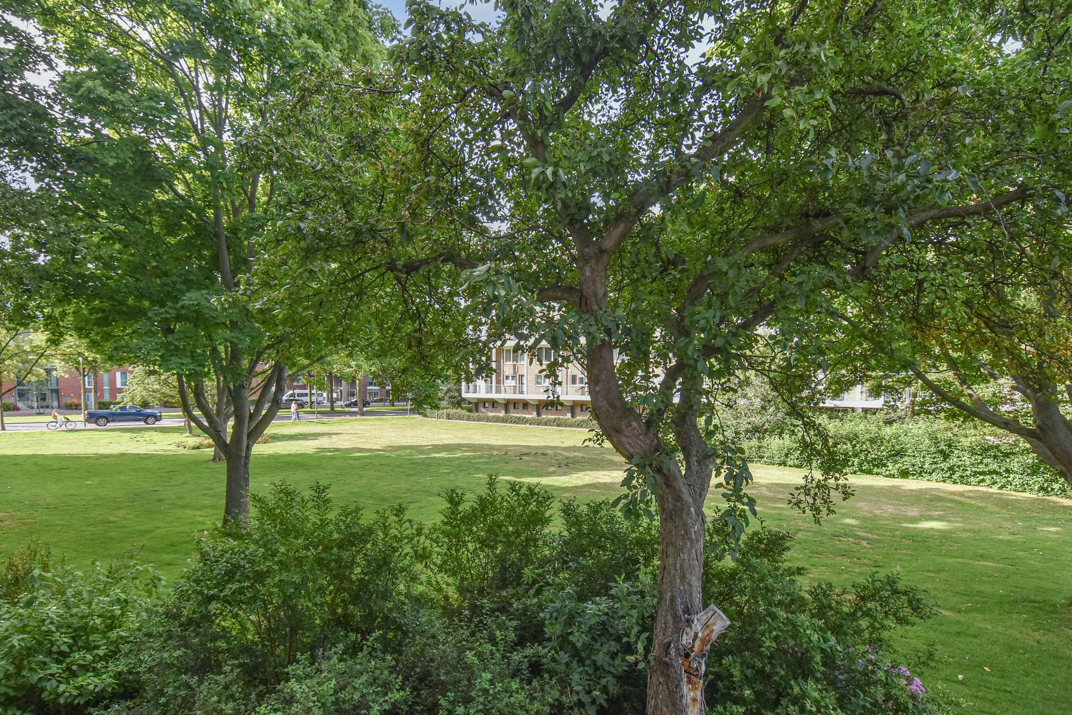 Foto 45 van Meppelweg 655