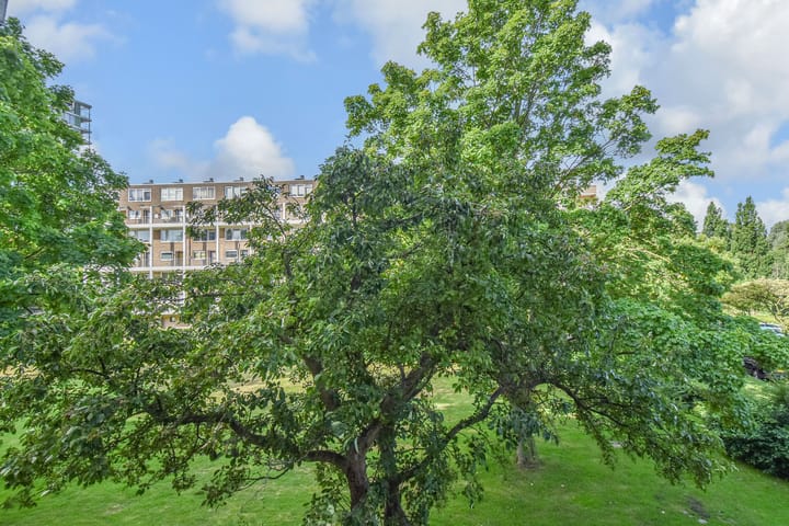 Photo 46 of Meppelweg 655