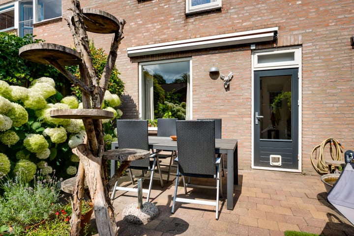 Foto 20 van Catsstraat 10