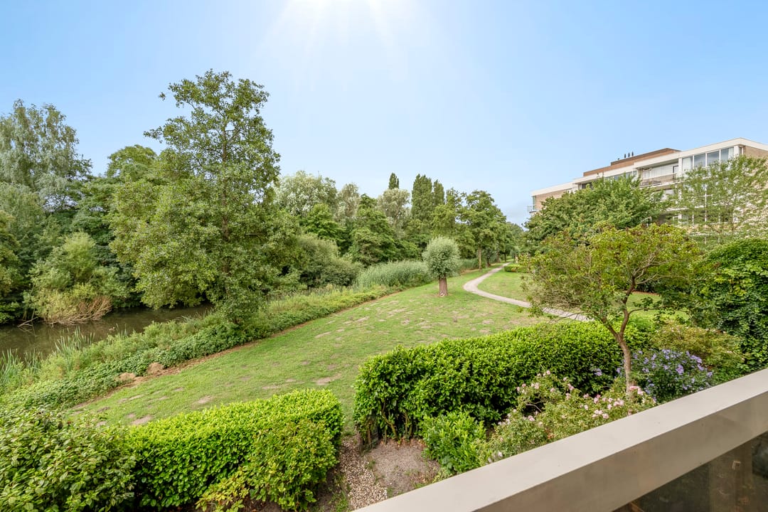 Foto 7 van Parnassiaveld 8