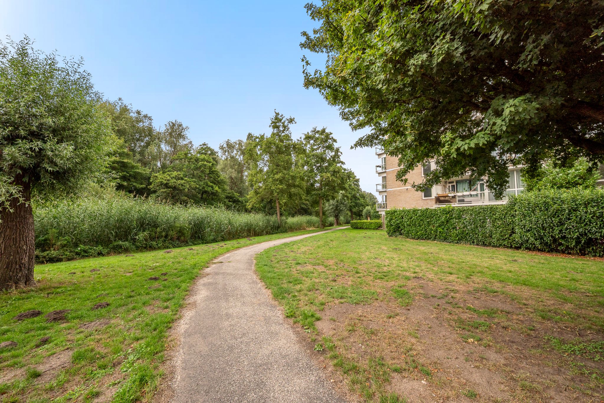 Foto 24 van Parnassiaveld 8