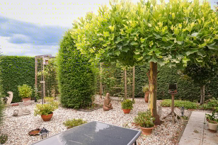 Foto 25 van Langestraat 31