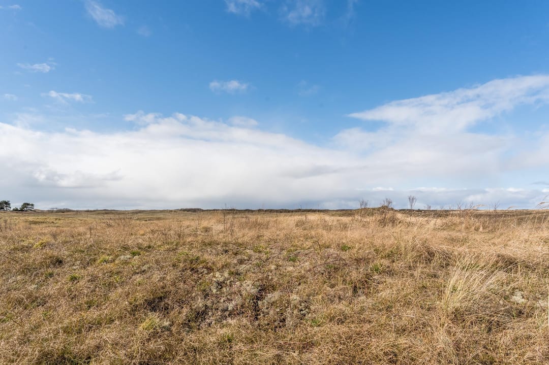 Photo 38 of Markgraaflaan 203