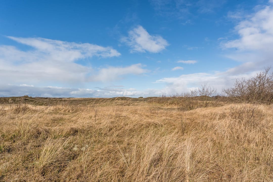 Photo 37 of Markgraaflaan 203