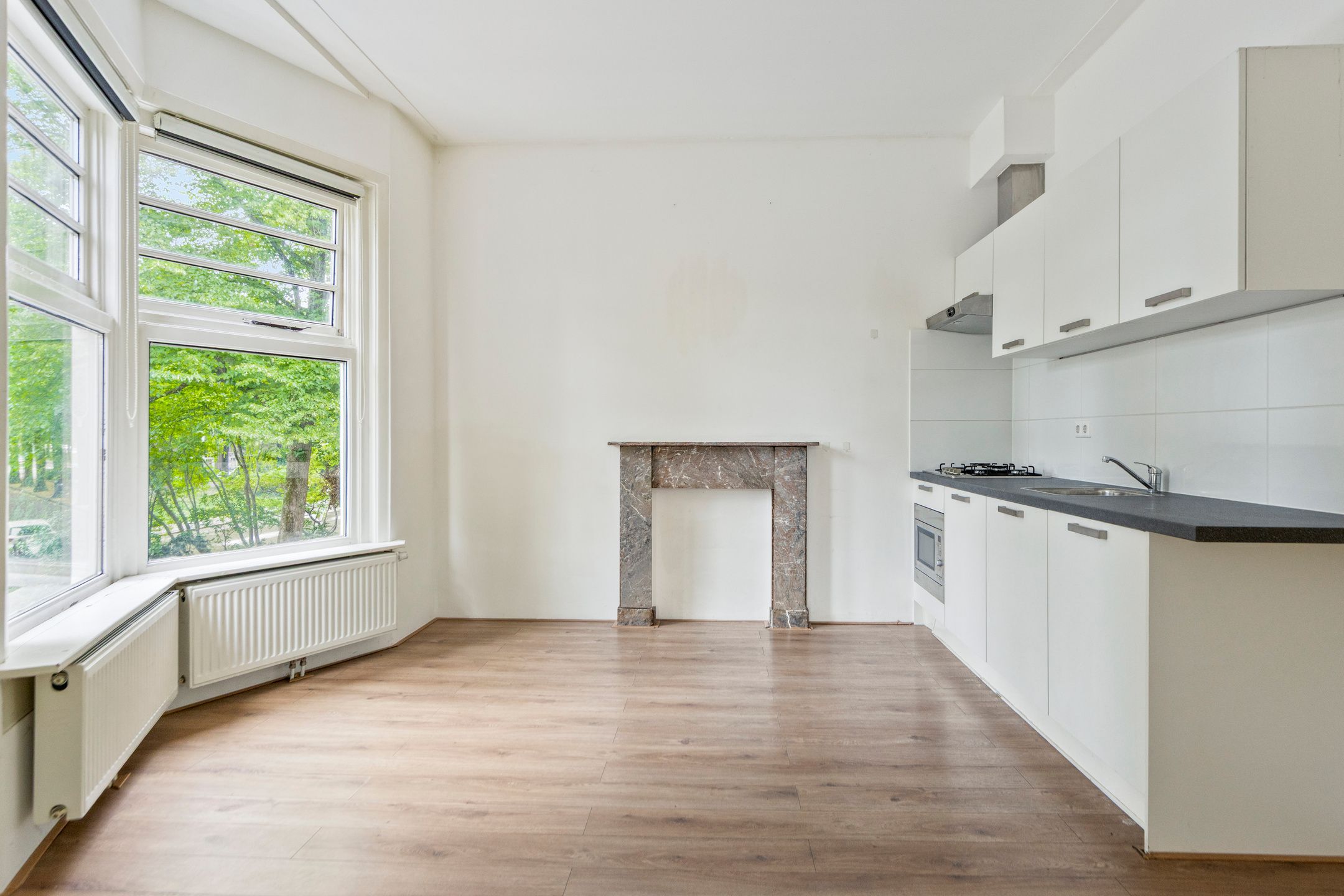 Foto 6 van Nassauplein 18