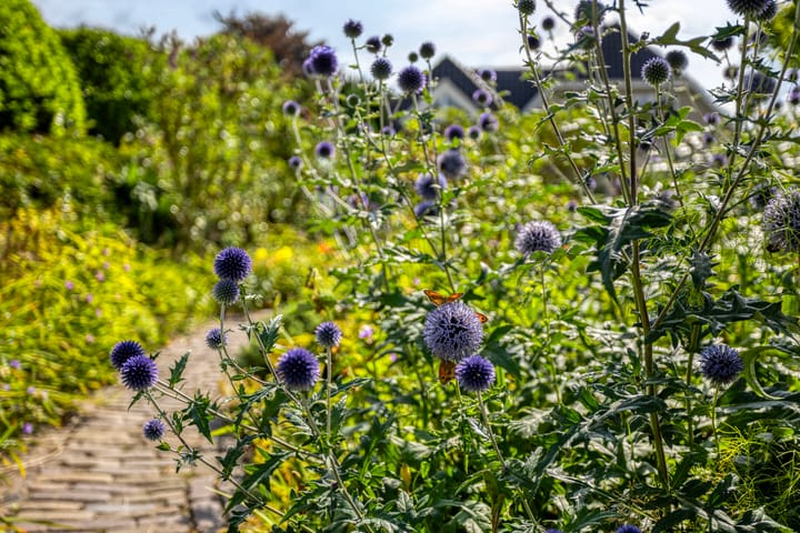 Foto 45 van Schoolstraat 33-A