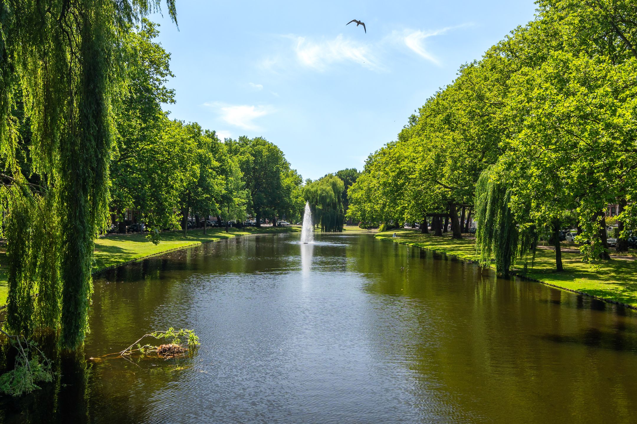 Heemraadssingel 103-A, 103, A, Rotterdam, 3022CB, Zuid-Holland, Nederland 103 