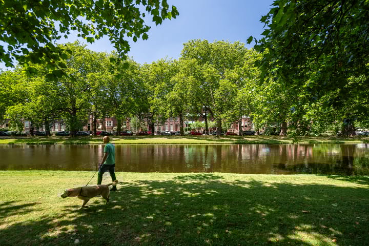 Foto 28 van Heemraadssingel 103-A