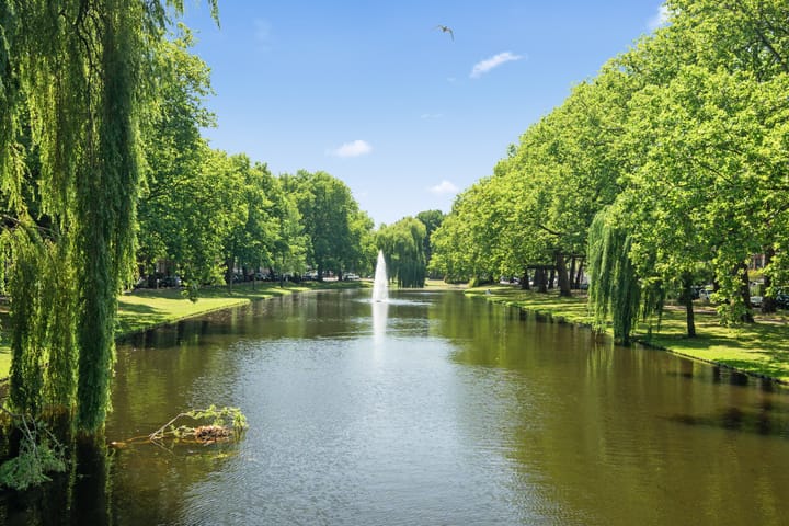 Foto 2 van Heemraadssingel 103-B