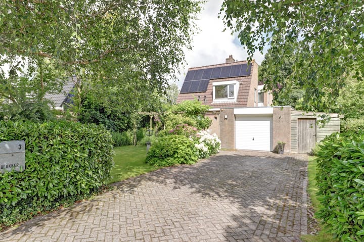 Foto 4 van Koperwiek 3