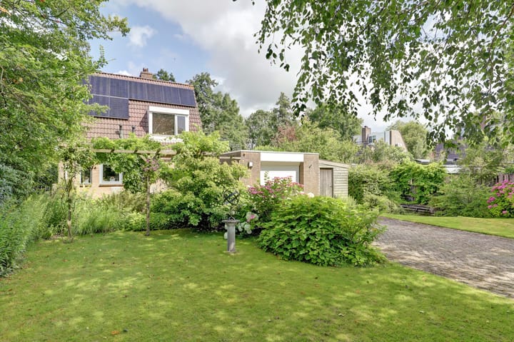 Foto 5 van Koperwiek 3