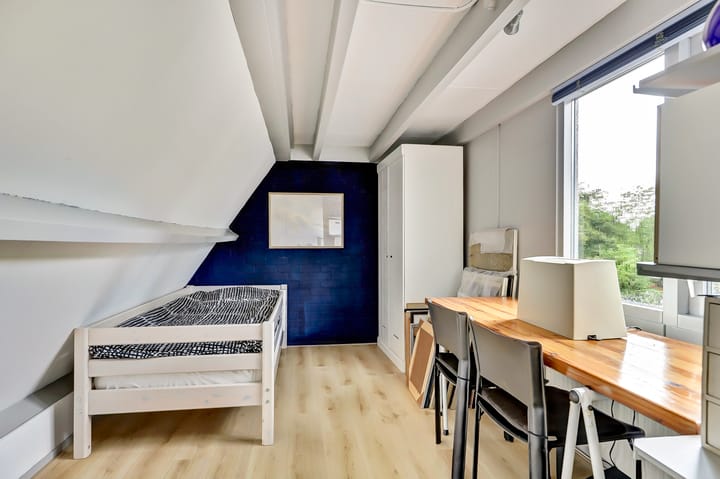 Foto 35 van Koperwiek 3