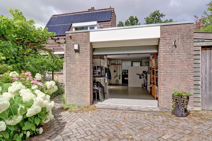 Foto 40 van Koperwiek 3