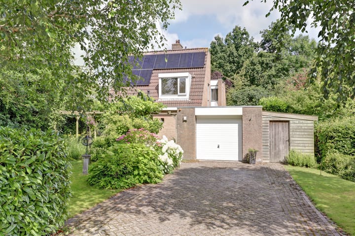 Foto 41 van Koperwiek 3