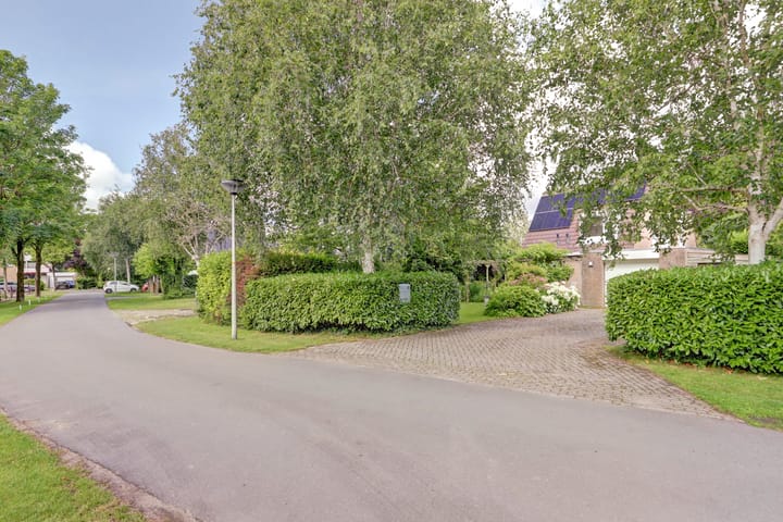 Foto 64 van Koperwiek 3