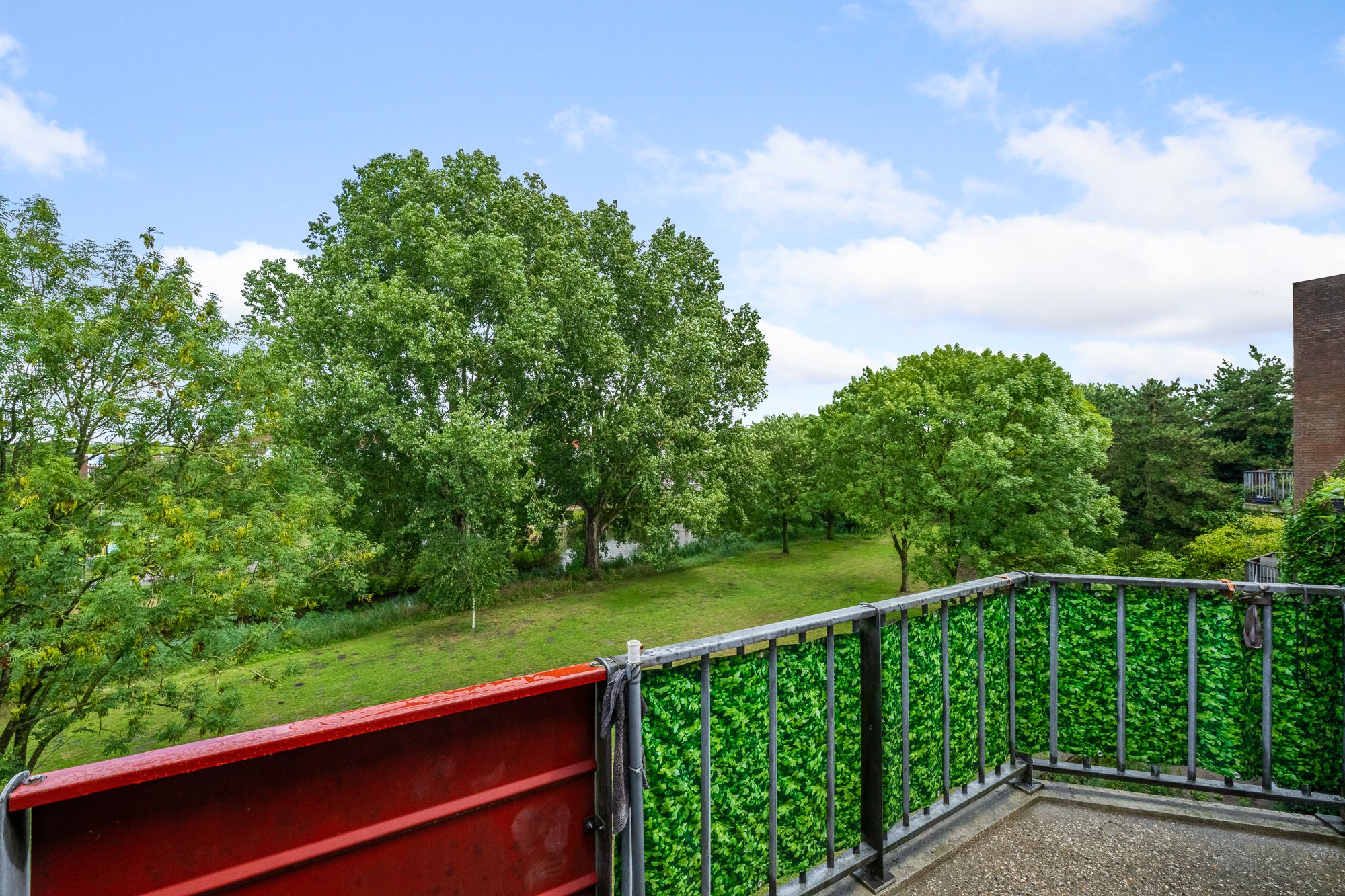 Foto 3 van Poederooienstraat 125