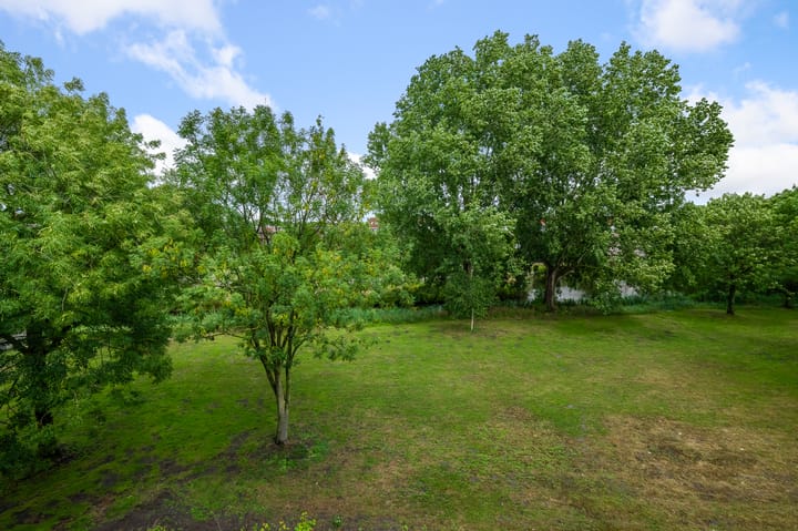 Foto 20 van Poederooienstraat 125