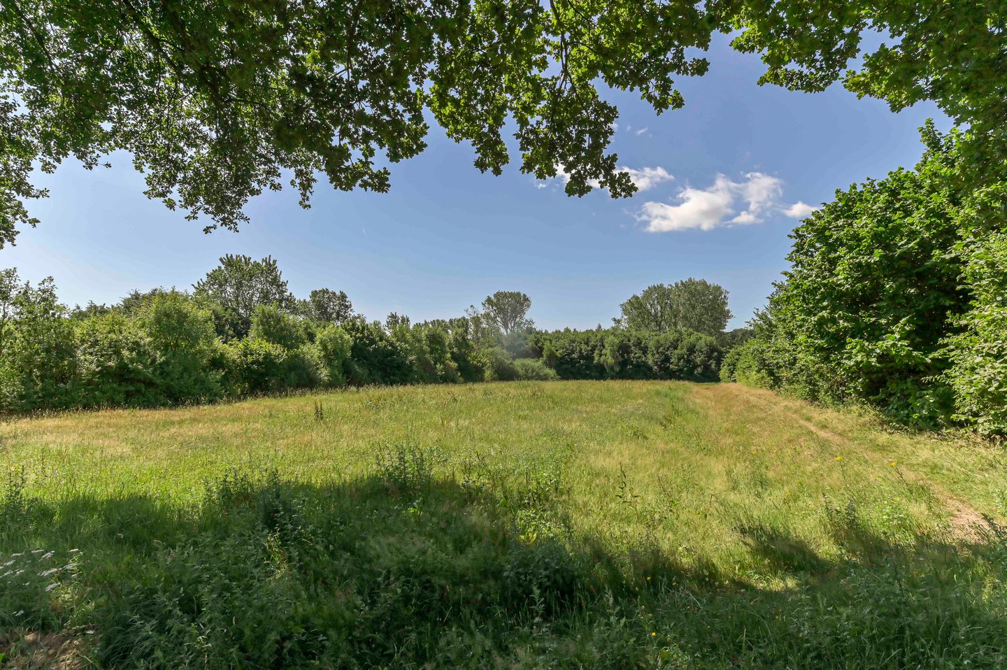 Photo 35 of Graaf van Loonlaan 65