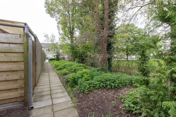 Foto 17 van Wederikstraat 40