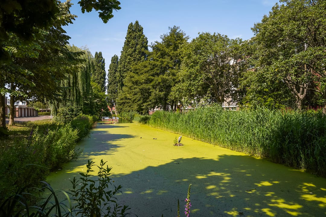 Foto 31 van Mahlerstraat 30