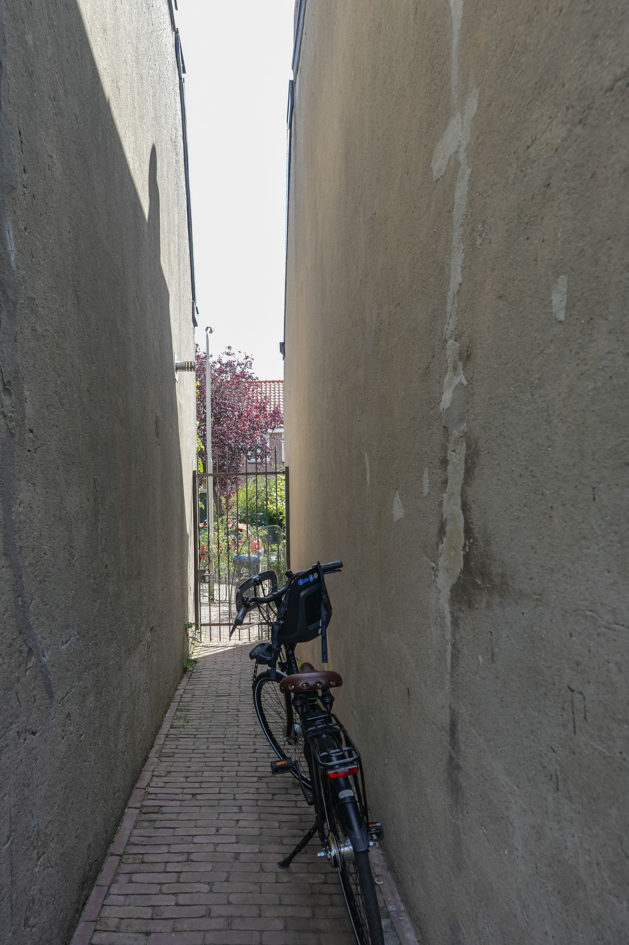 Foto 33 van Paulus Potterstraat 29