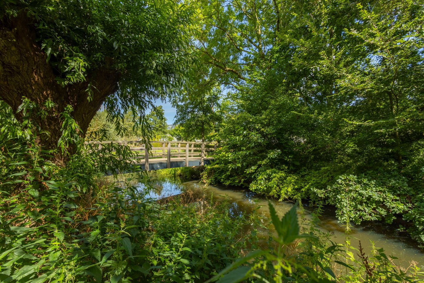 Foto 19 van Reinenweer 39