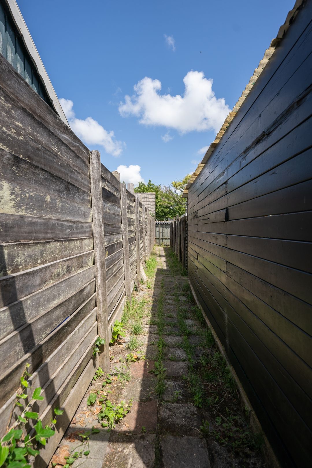 Foto 53 van Thijsselaan 105