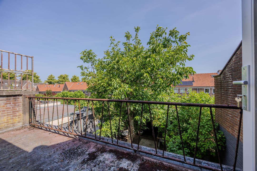 Foto 26 van Sleedoornstraat 21