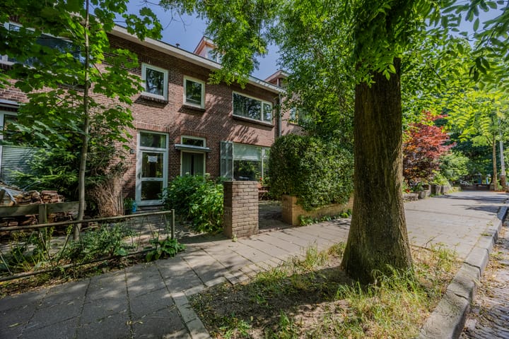 Foto 41 van Sleedoornstraat 21