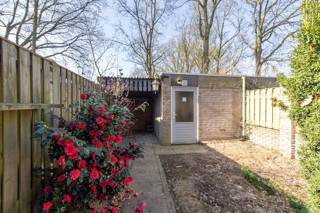 Foto 16 van Wederikstraat 36