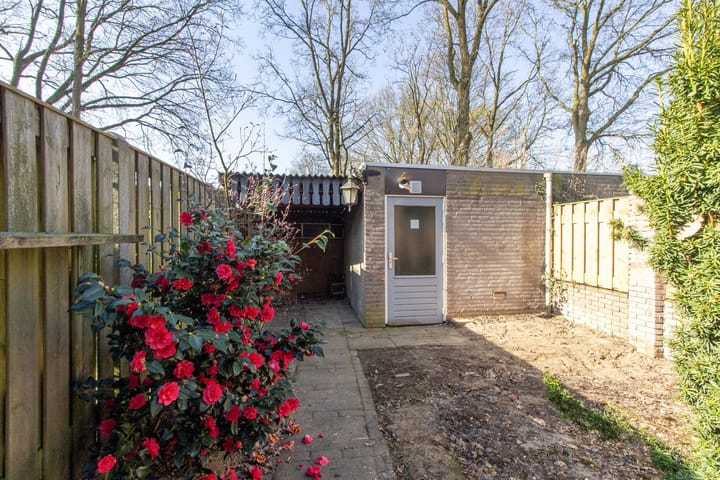 Foto 16 van Wederikstraat 36