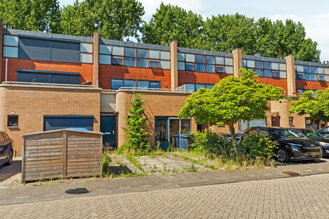 undefined main image