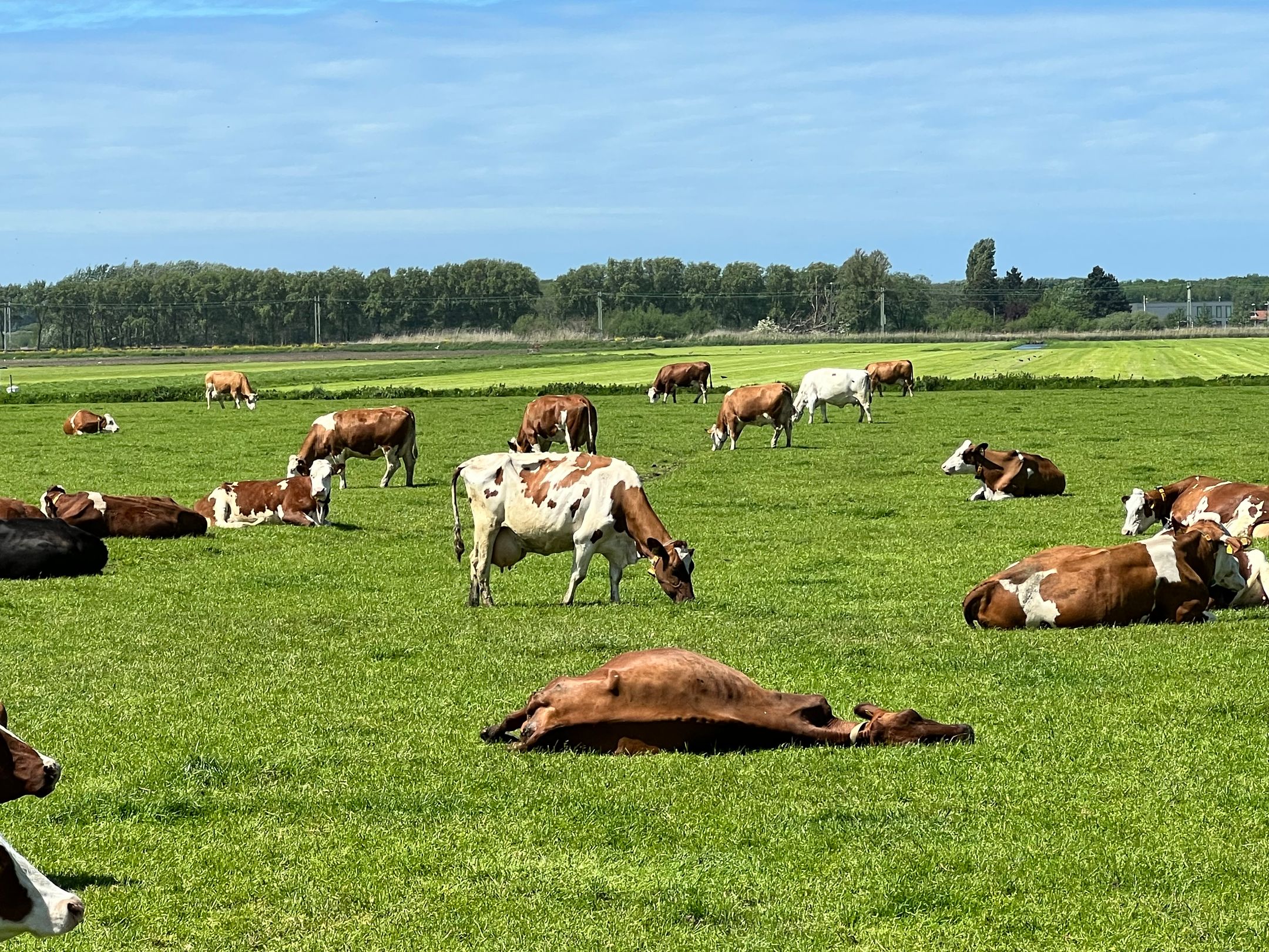 Foto 42 van Jacoba van Beierenweg 136