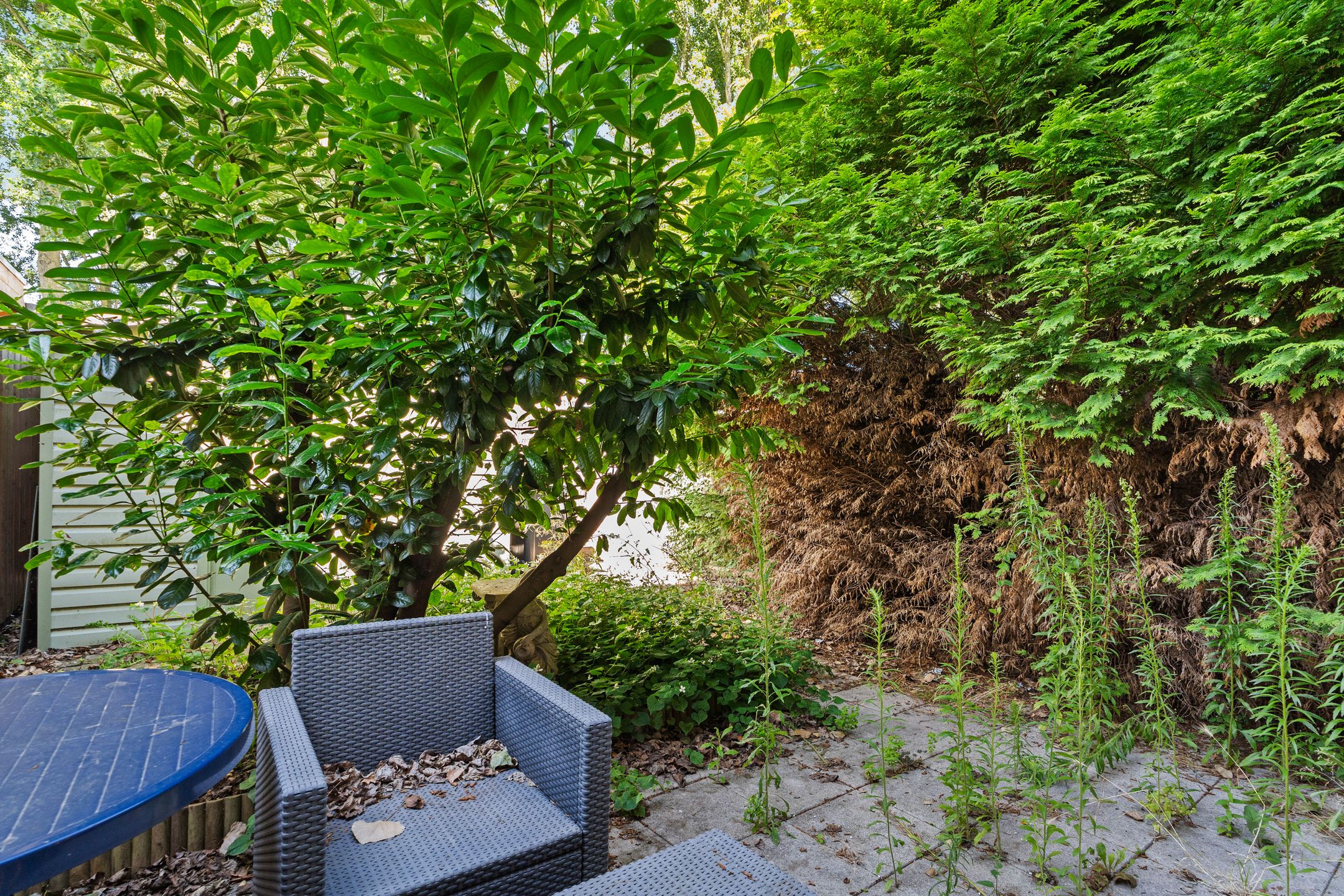 Foto 39 van Anjerstraat 10