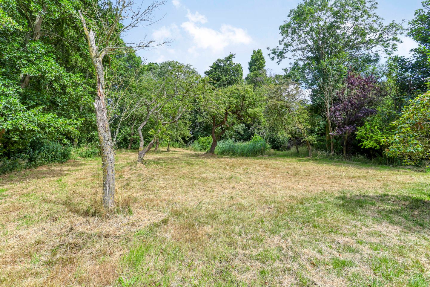 Foto 65 van Jacoba van Beierenweg 136