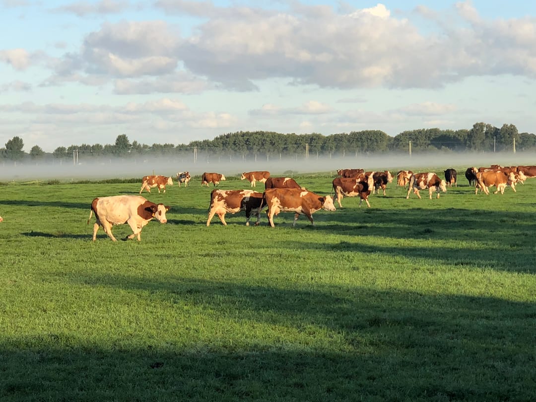 Foto 83 van Jacoba van Beierenweg 136