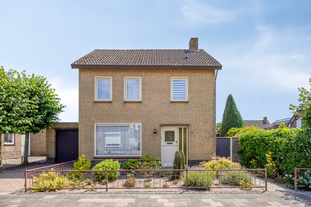 Foto 7 van de Krijntjes 35