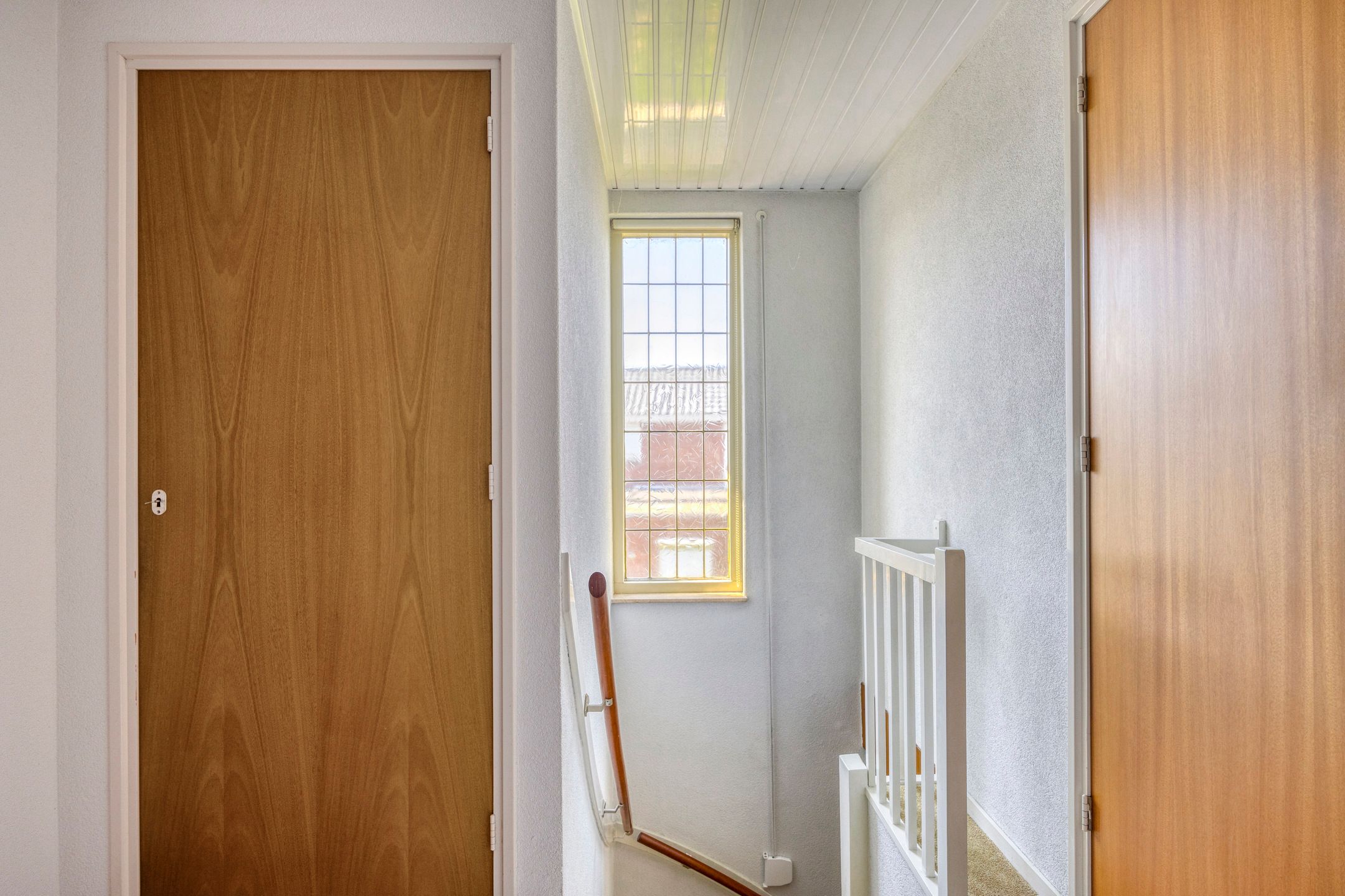 Foto 18 van de Krijntjes 35