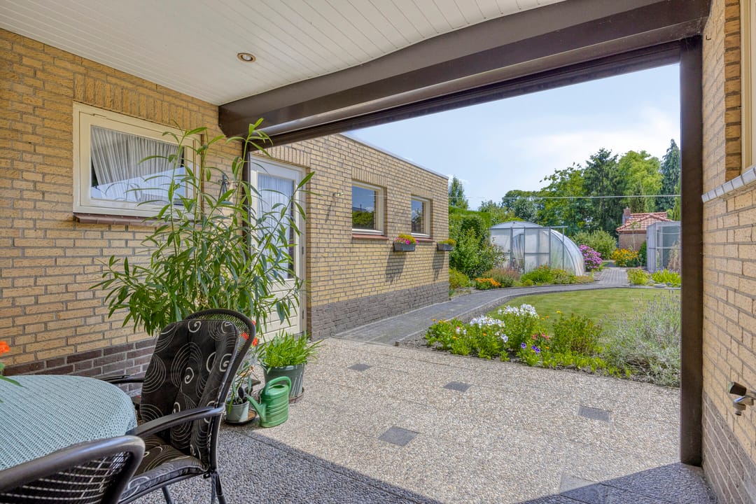 Foto 31 van de Krijntjes 35